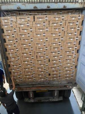 Praktische 1K auto verf basislaag Alkali Resistente Multiscene Puur Wit